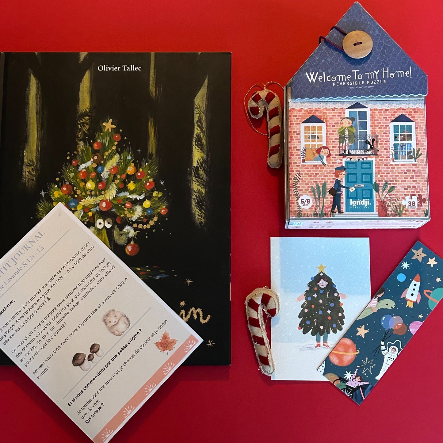 La Box de Noël - Un sélection magique pour les Booksters